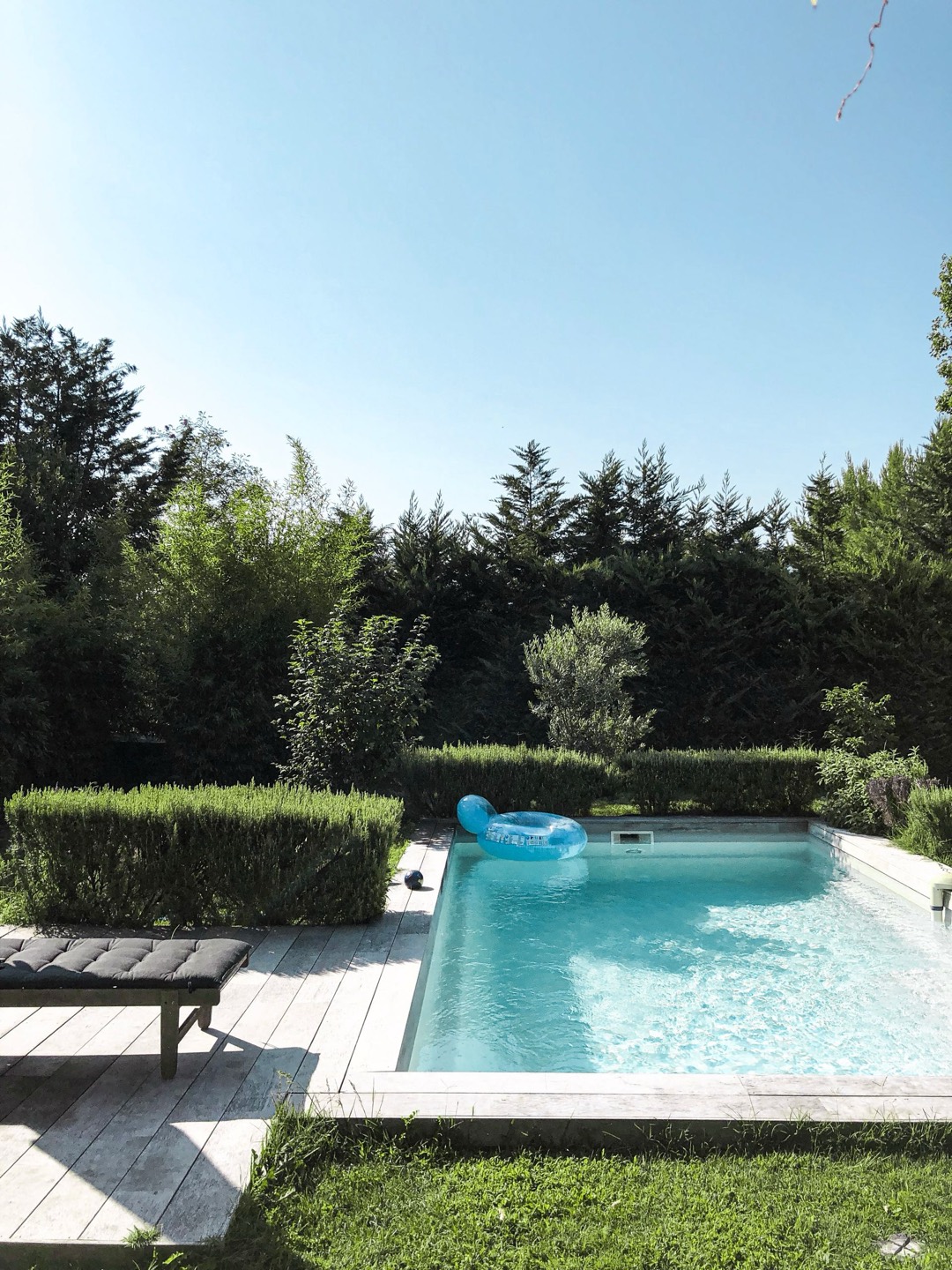 A shaded backyard swimming pool with hedges and a wooden deck